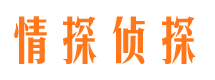 柳城市场调查